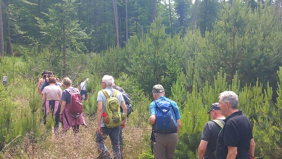 Wandern in Leckringhausen