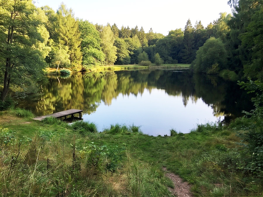 gruener see